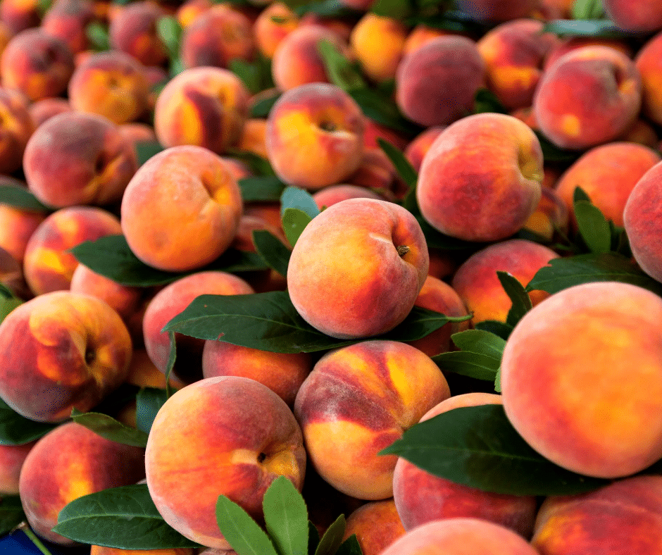 What Fruits and Vegetables are in Season in August? (Produce Guide) Hungry Hobby