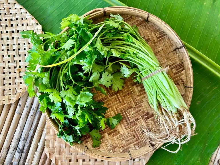 Essential Thai Pantry Staples for Home Cooks