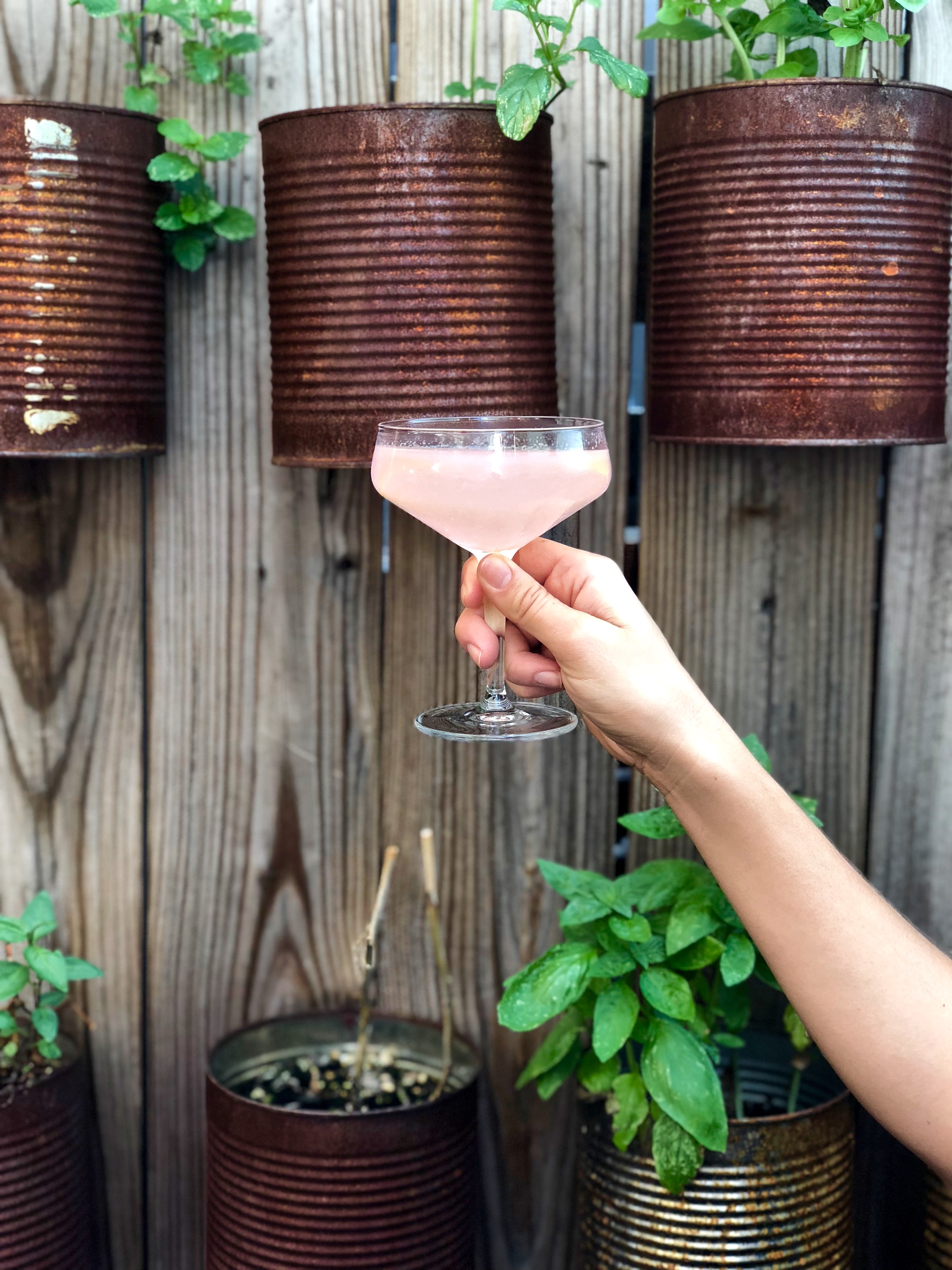 The Betsy Open Air Rooftop Gin Bar + Craft Bites