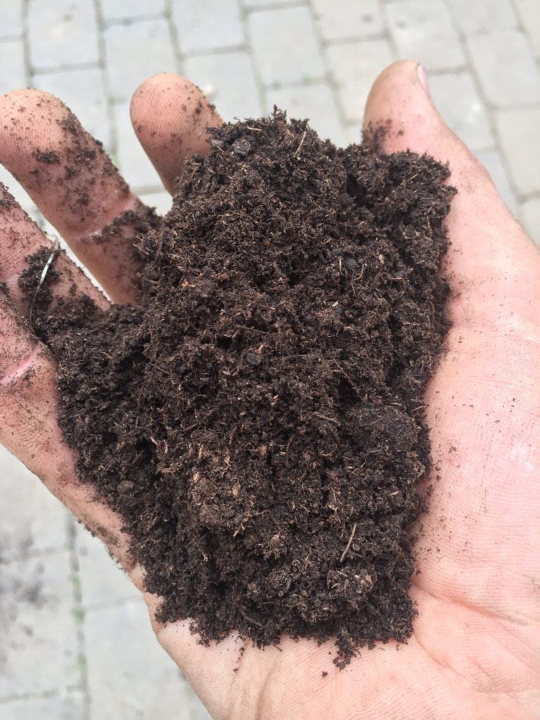 Carnivorous Plant Soil Recipes Carnivorous Plant Soil Recipes