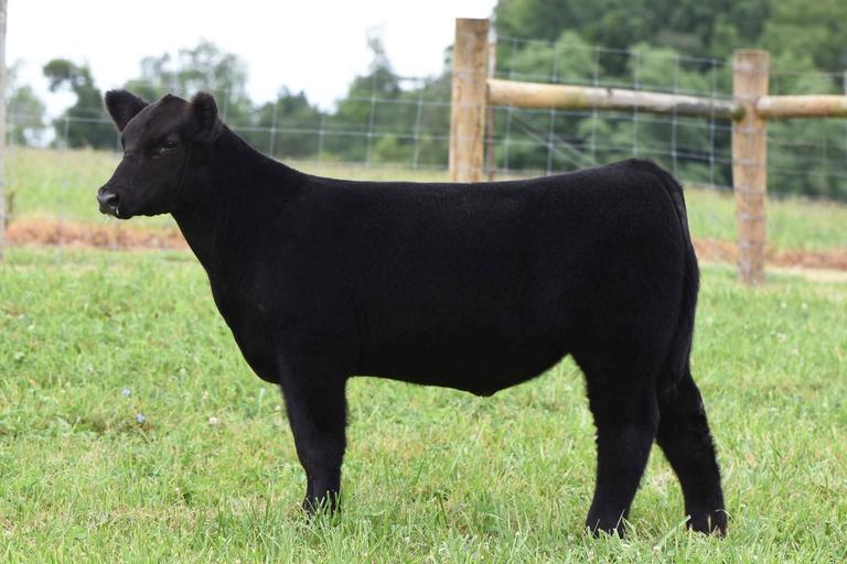 RCC Blog Highland County Circle Online Sale Kirk Forsythe • Hamilton