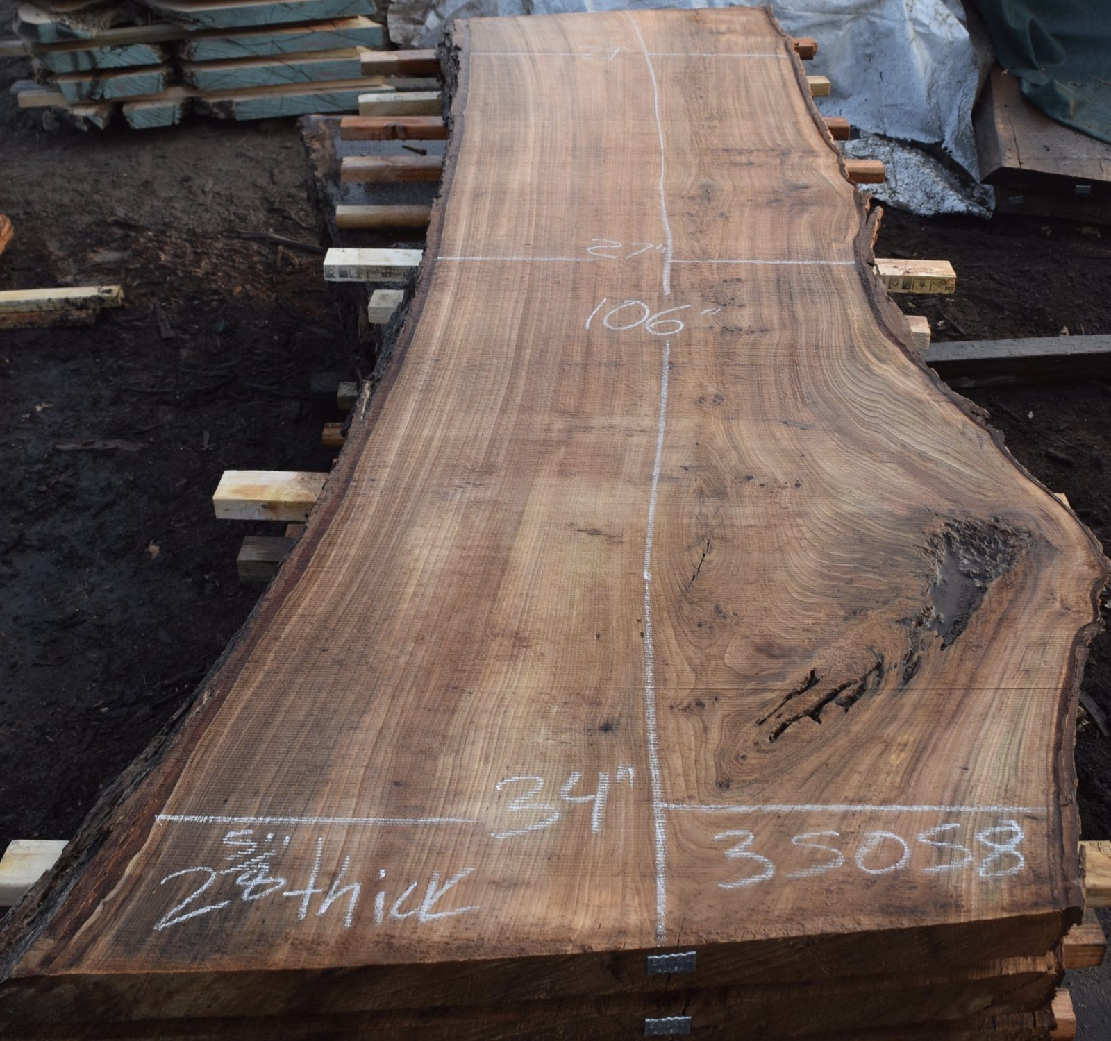 35058 Live Edge Elm Slab 106"x34"27"x2 5/8" November 2018 Salvaging