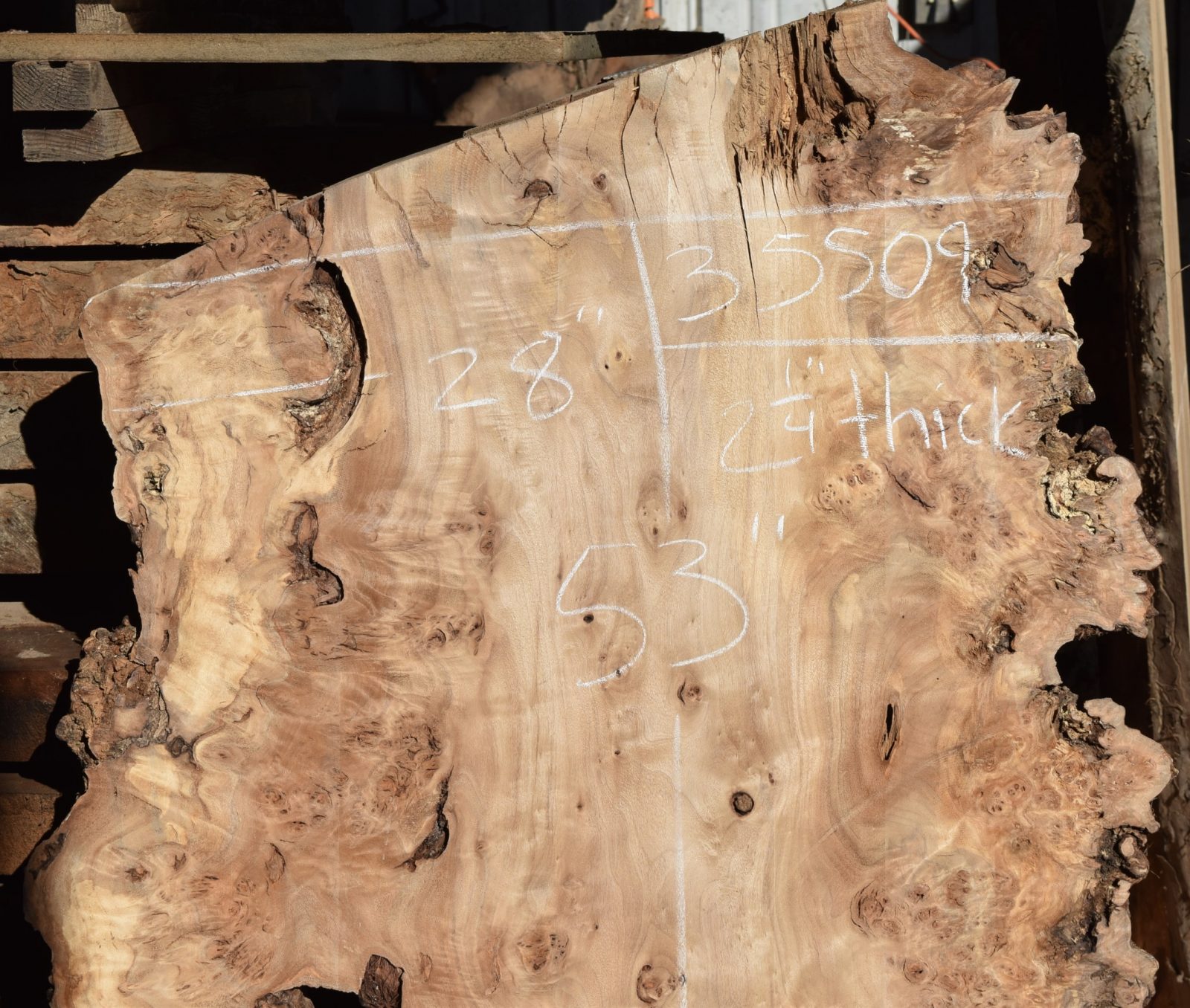 35509 Kiln Dried Cottonwood Burl Slab Salvaging and Reclaiming Urban