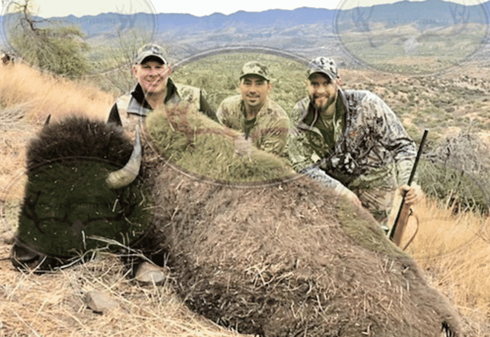 Buffalo Hunt Sonoran Desert, MX HuntAnywhere