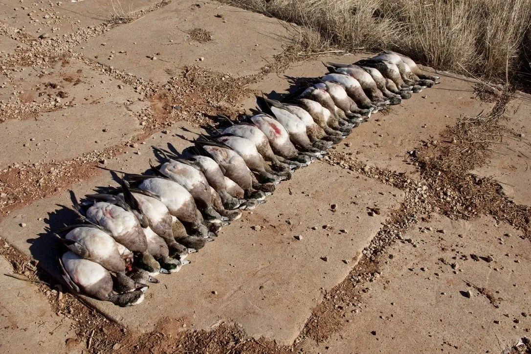 Gallery Crooked Creek Outfitters