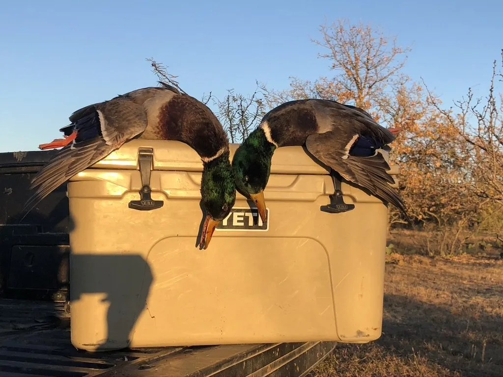 Gallery Crooked Creek Outfitters