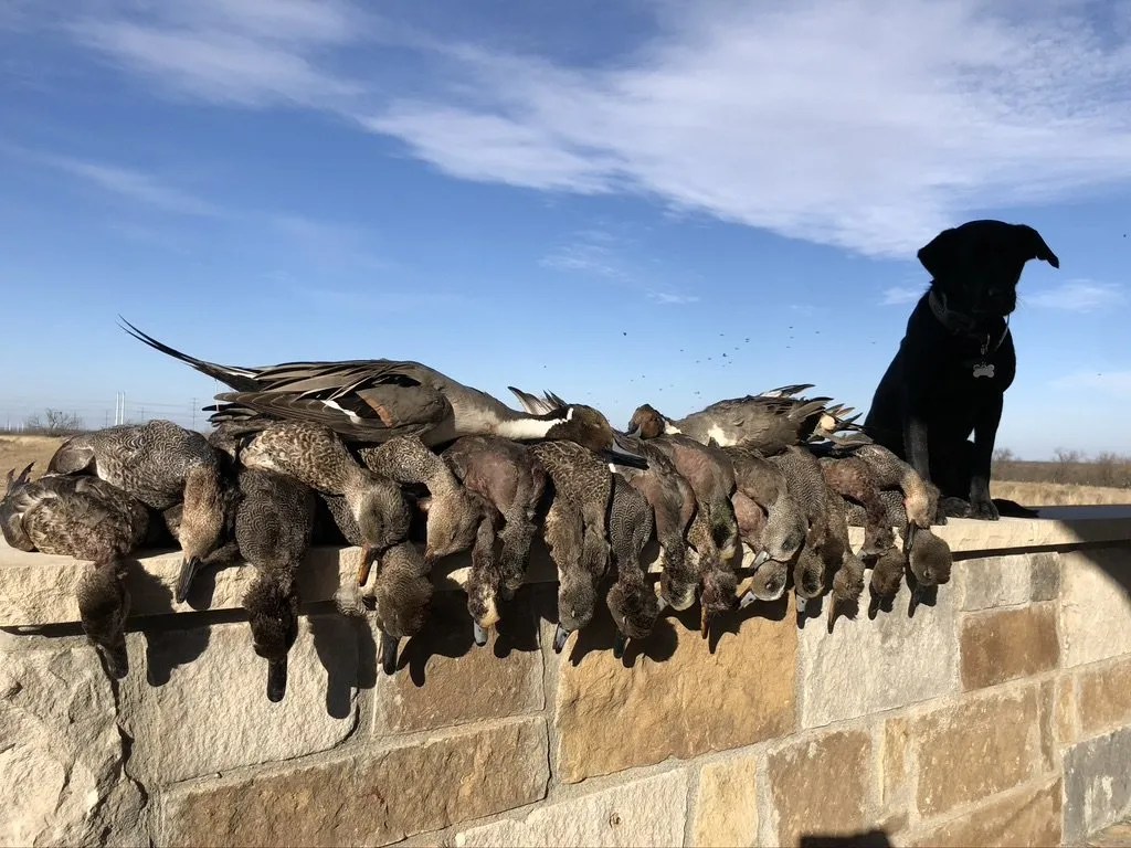 Gallery Crooked Creek Outfitters