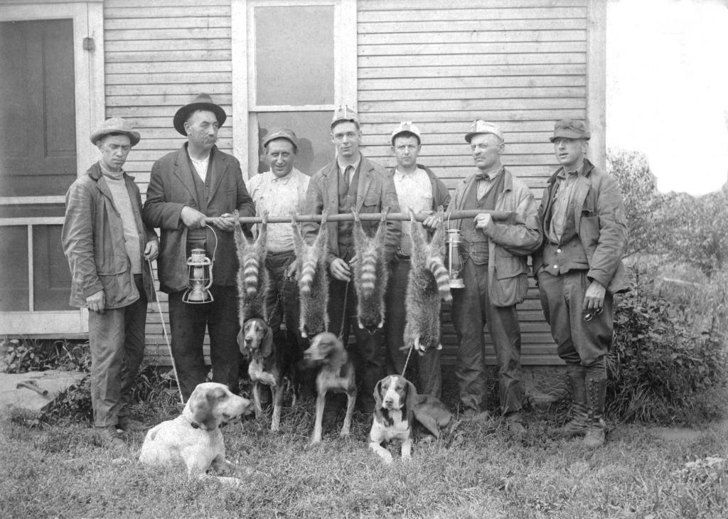 Coon Hunting Hunting