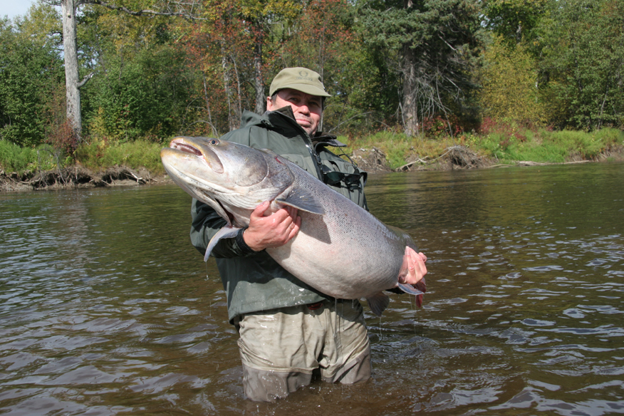 Taimen trout Hunting
