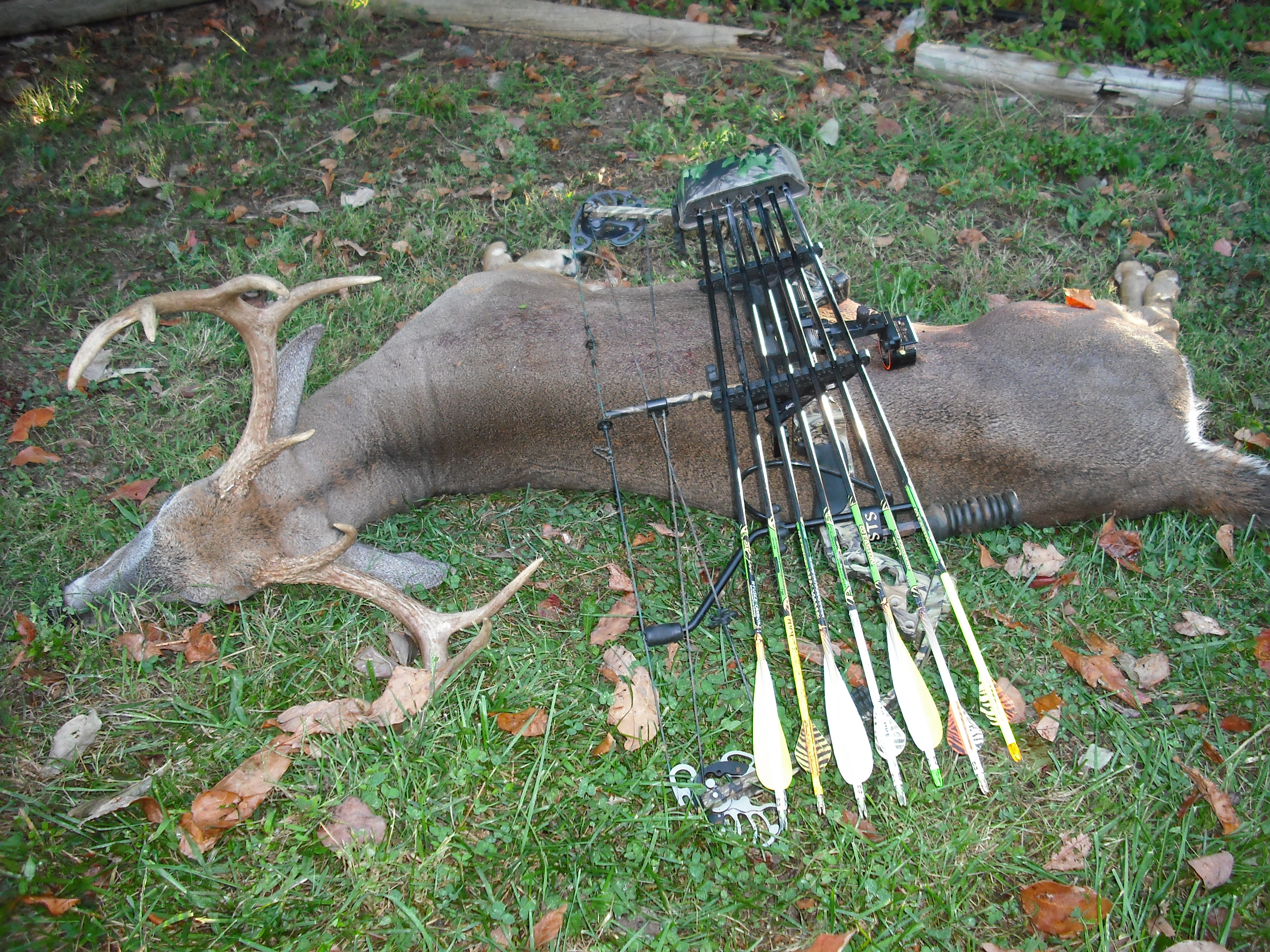 Sept 2010 Archery NJ, NJ Hunting