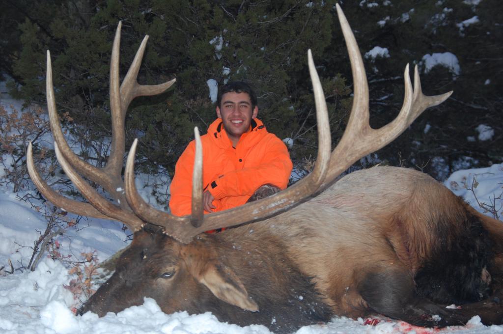 Coloardo Elk, Colorado Hunting