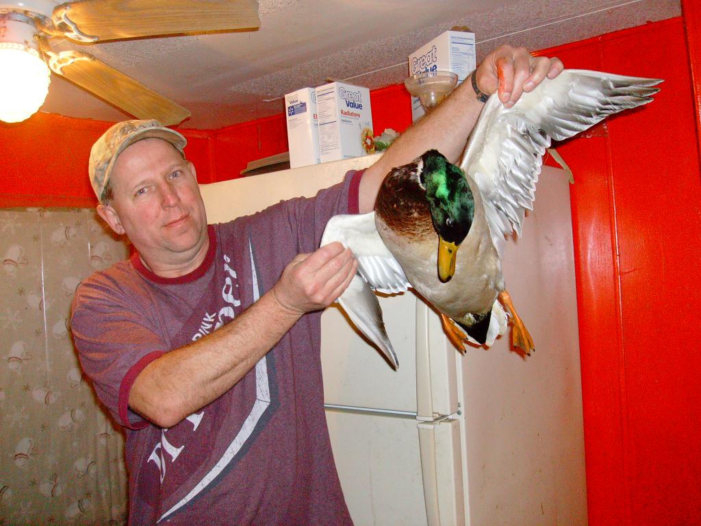mallard, Iowa Hunting