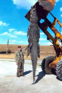 Huge Florida Alligator, Florida | Hunting
