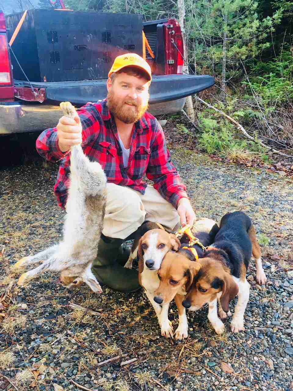 Maine Snowshoe Hare Hunts with Beagles Hunt East Adventures