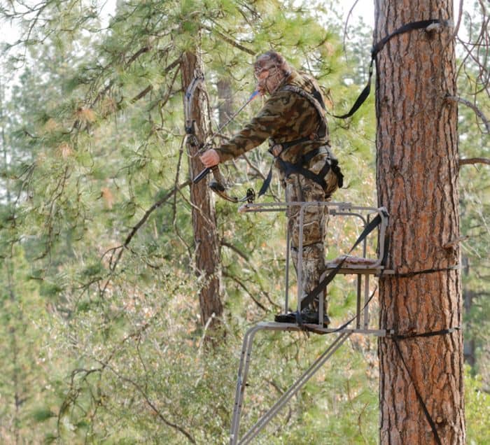 Can Deer Smell Thermacell Mosquito Repellent? Hunter Gear