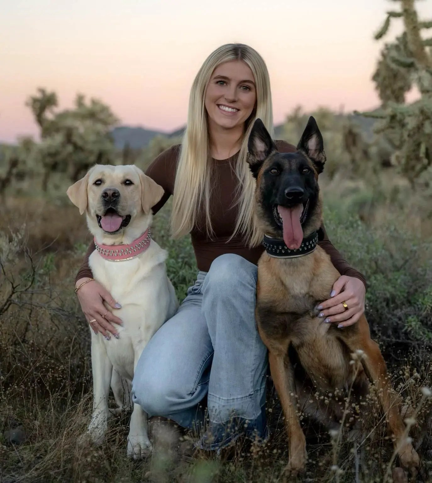 Dog Trainers in Phoenix Phoenix Dog Trainers Hunter Canine