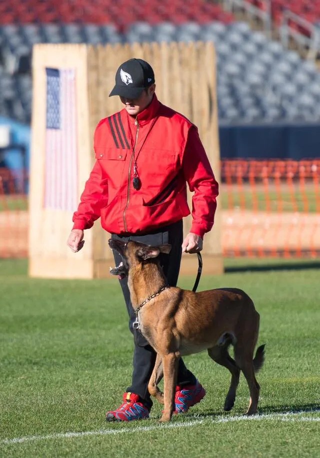 Dog Trainers in Phoenix Phoenix Dog Trainers Hunter Canine