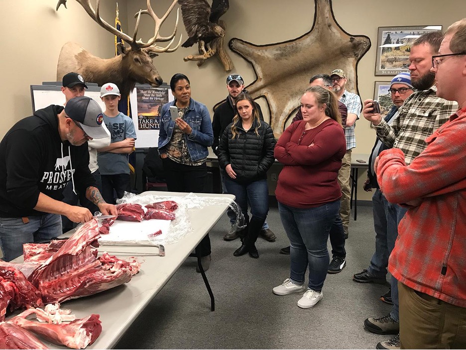 How much meat from a deer can you get Hunter Experts