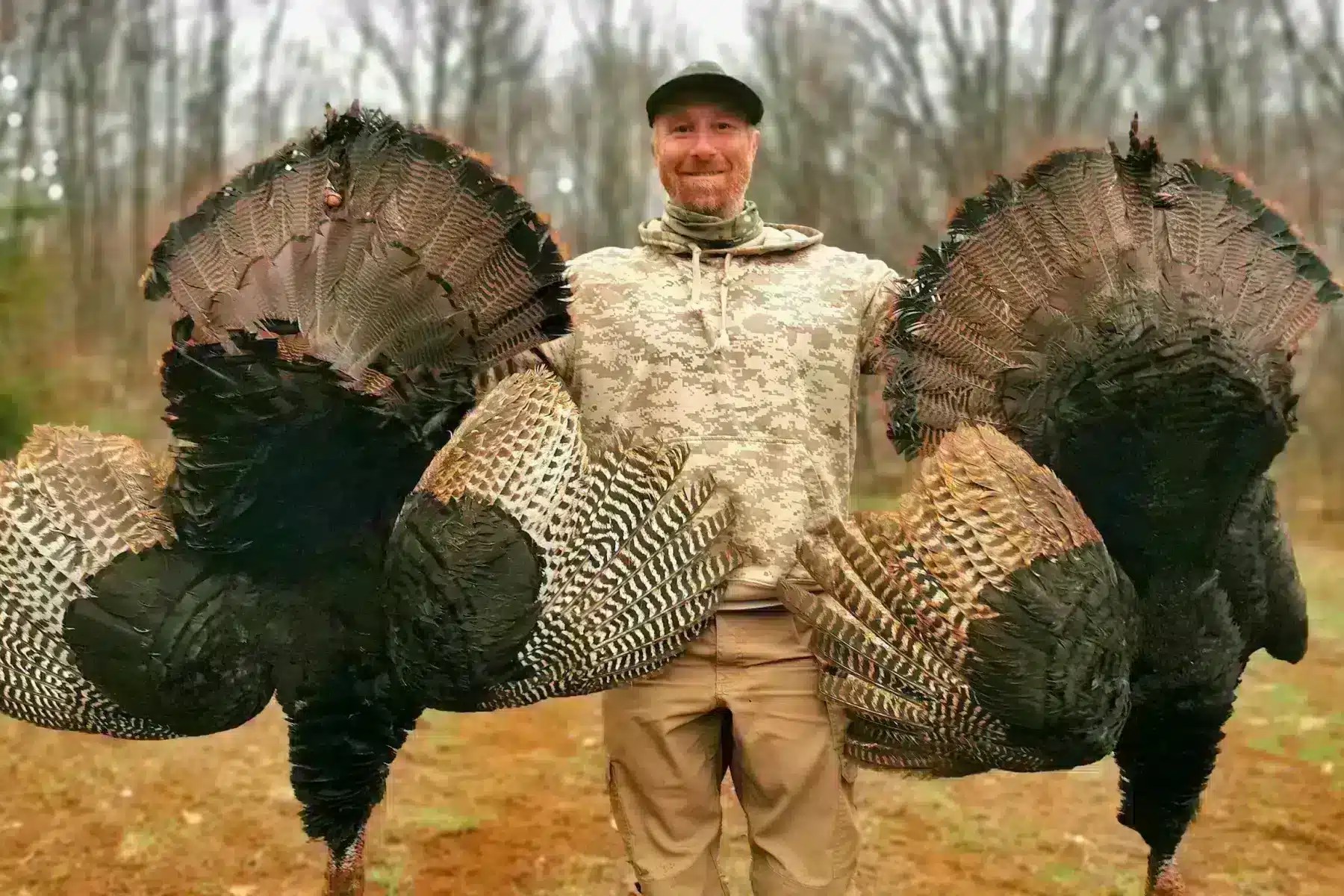 1 Day SelfGuided Turkey Hunt in Canada