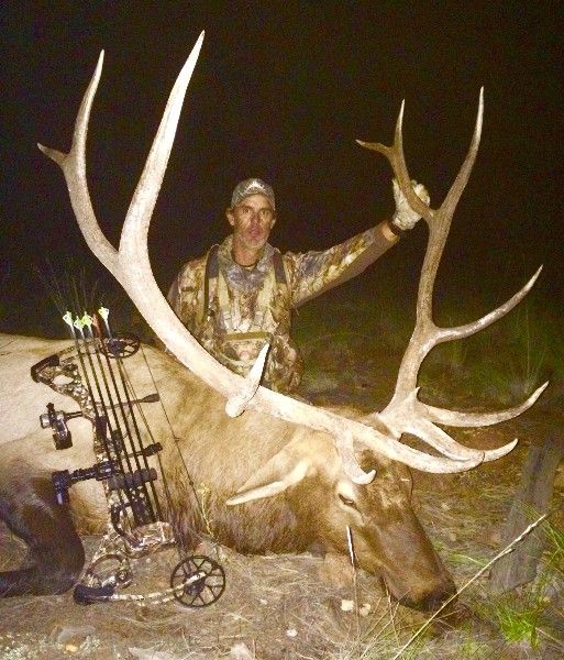 2023 New Mexico Cow Elk Unit 34 Rifle Tag » Hunters Domain Landowner