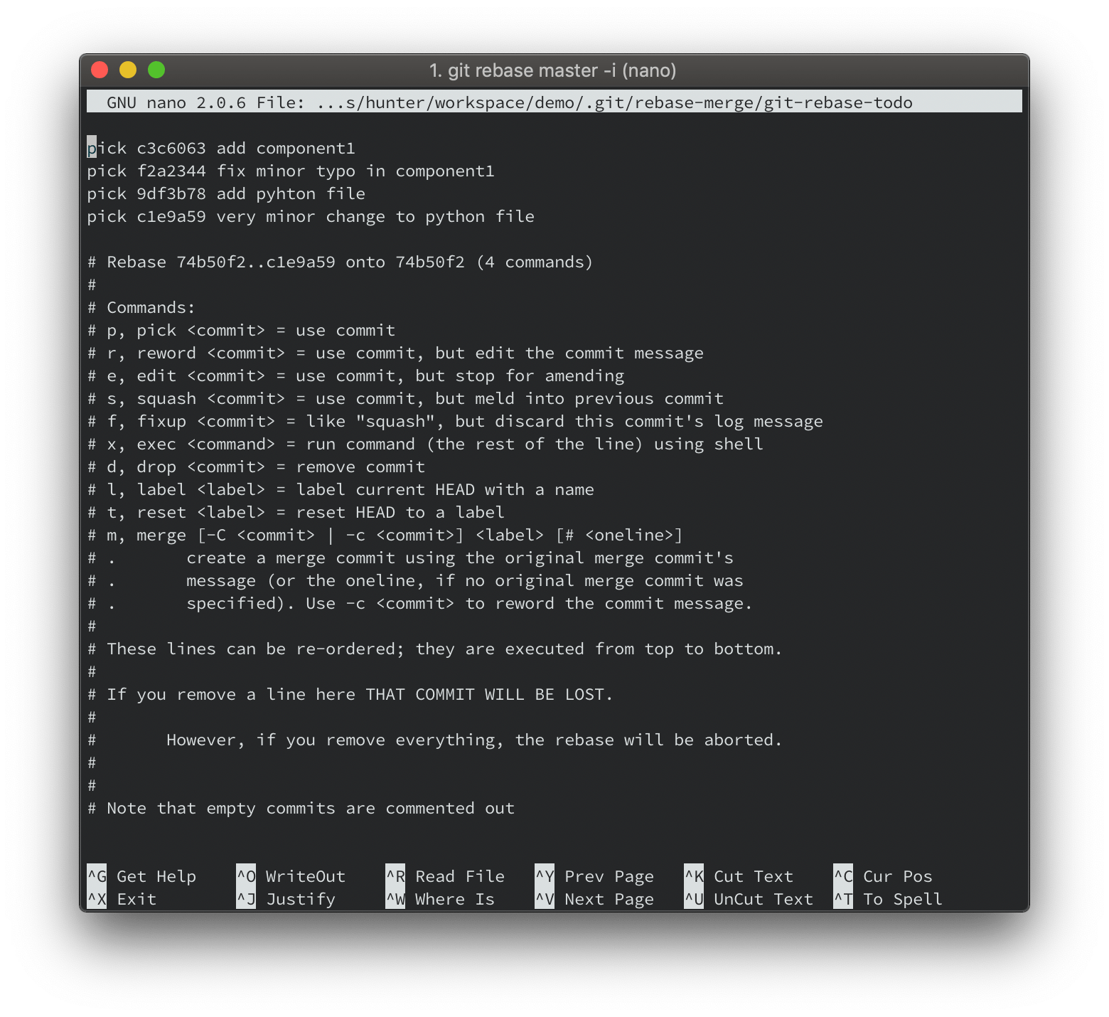 making your git commit history pretty Hunter Watson