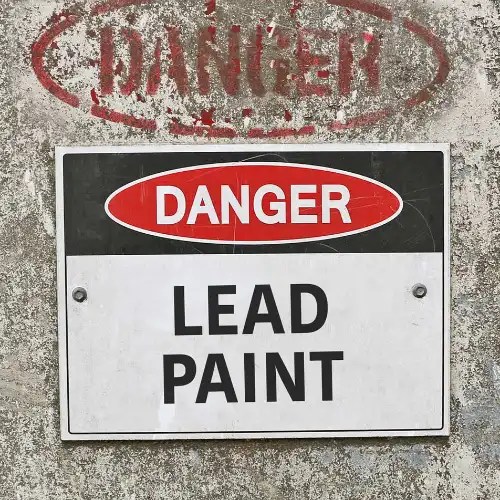 Lead Paint Removal in Sydney HUNTER WEST