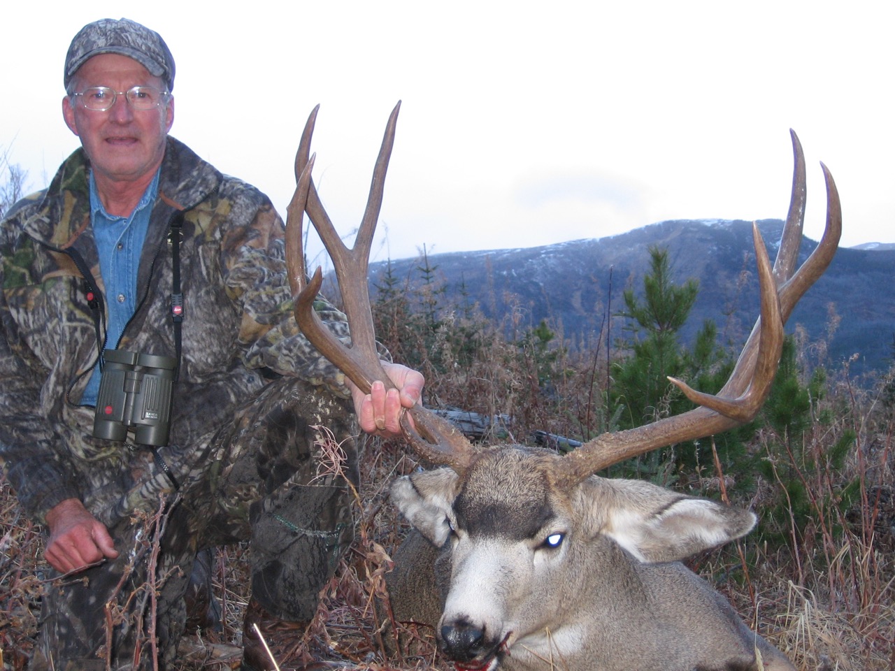 British Columbia Deer Hunts Hunt FGS BC Hunting Guides Moose