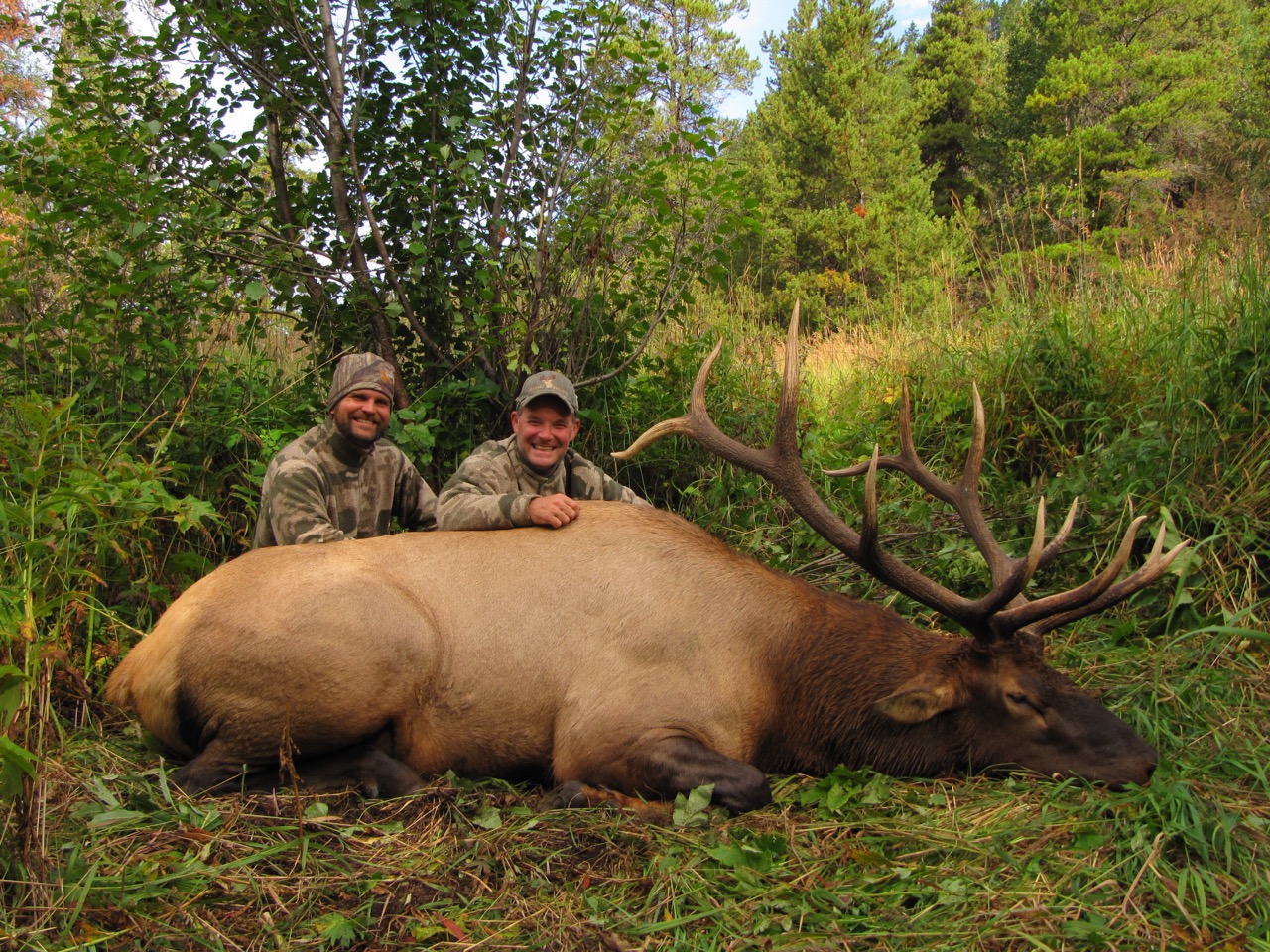 Photos & Videos Hunt FGS BC Hunting Guides Moose, Goat, Elk, Bear