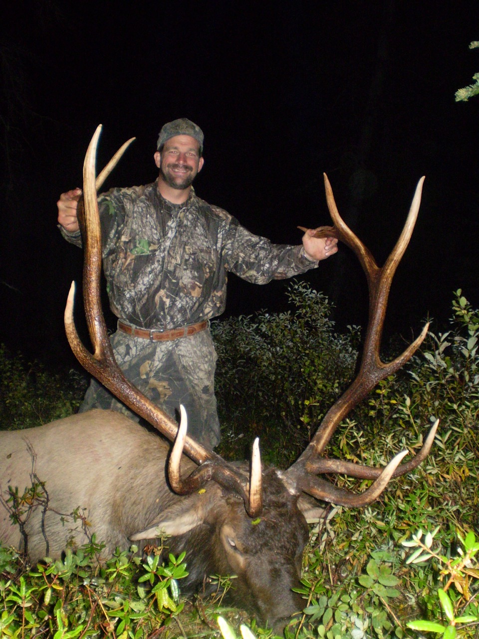 British Columbia Elk Hunts Hunt FGS BC Hunting Guides Moose, Goat