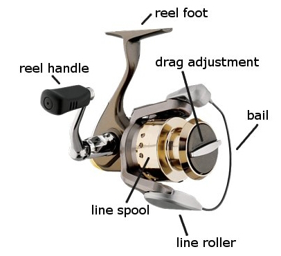 Parts of Spinning Reel with Diagram