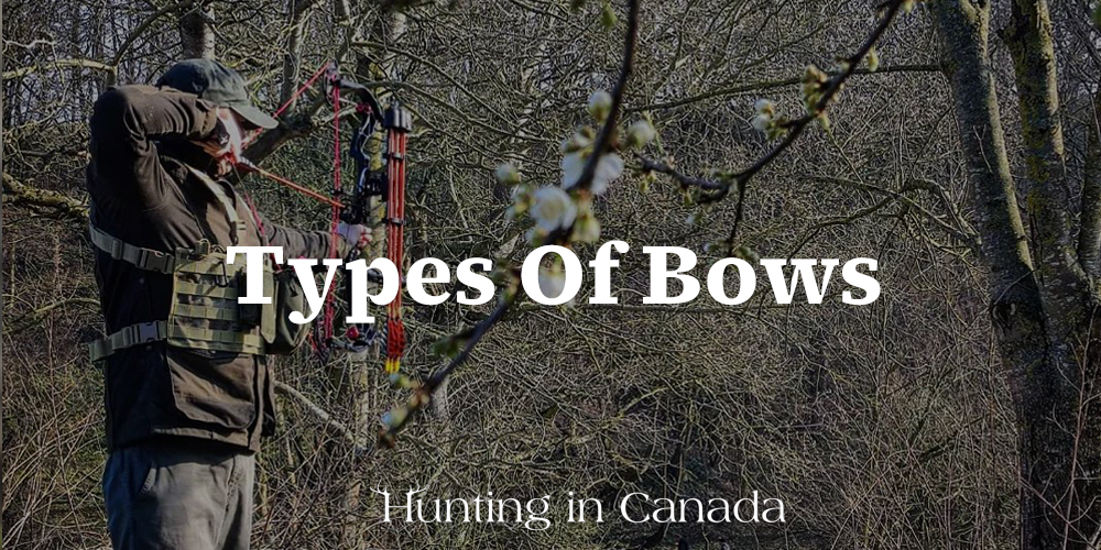 Types Of Bows Hunting In Canada
