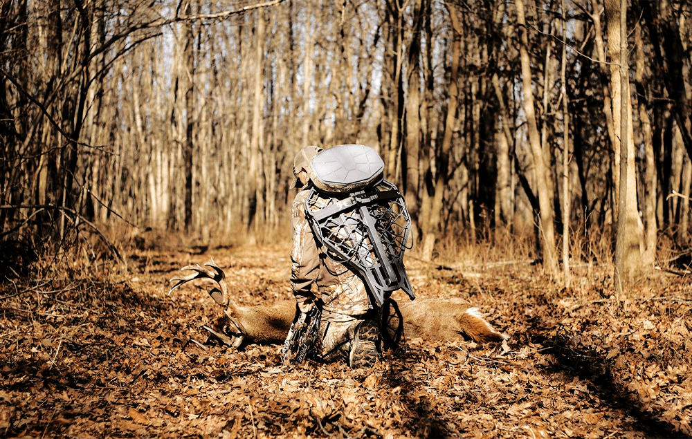 Available Hunting Leases A Hunters Dream Base Camp Leasing