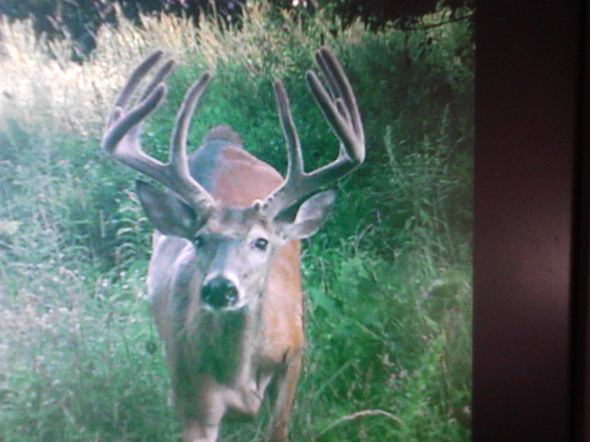 Indiana Base Camp Leasing