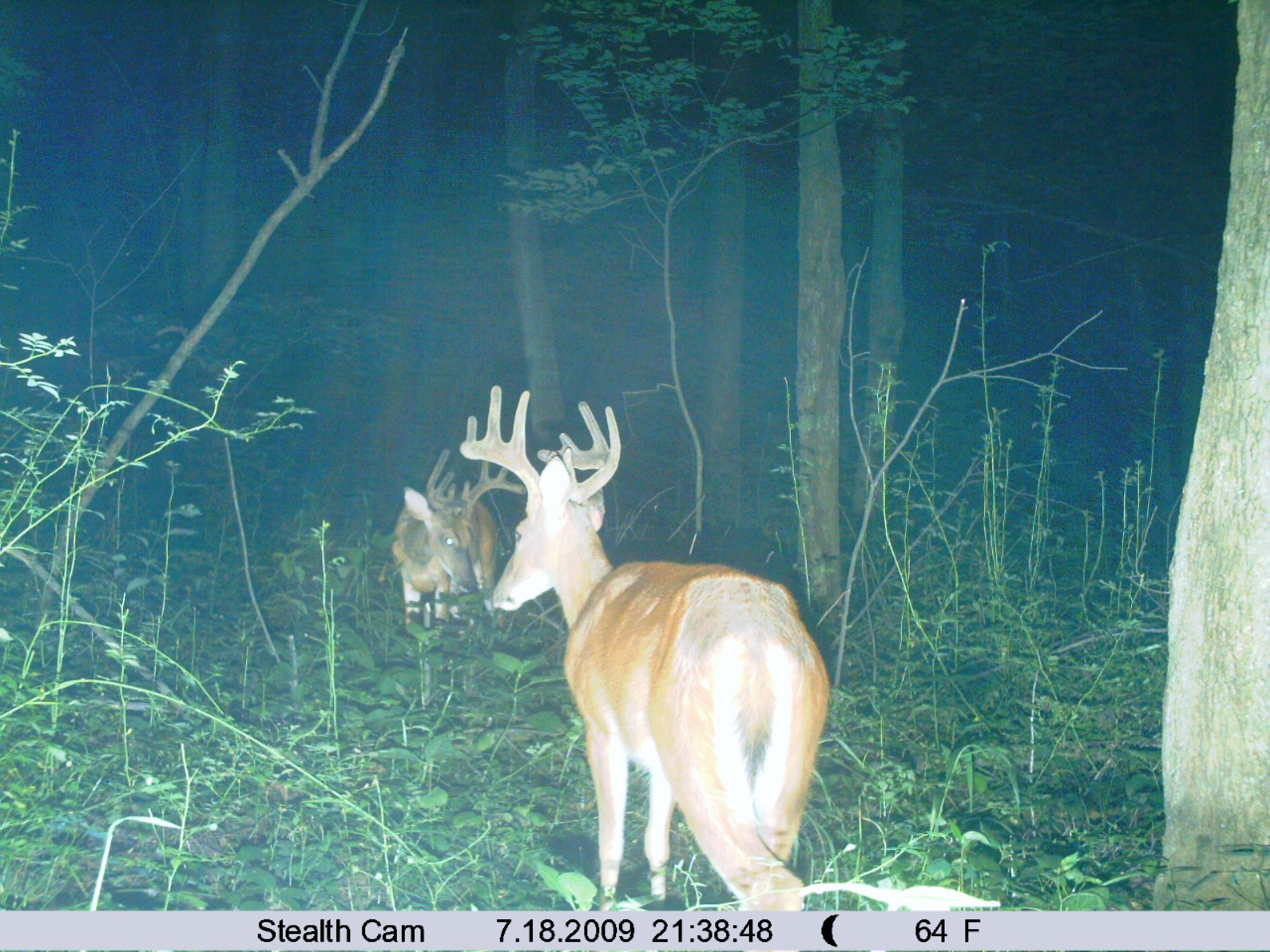 Indiana Base Camp Leasing