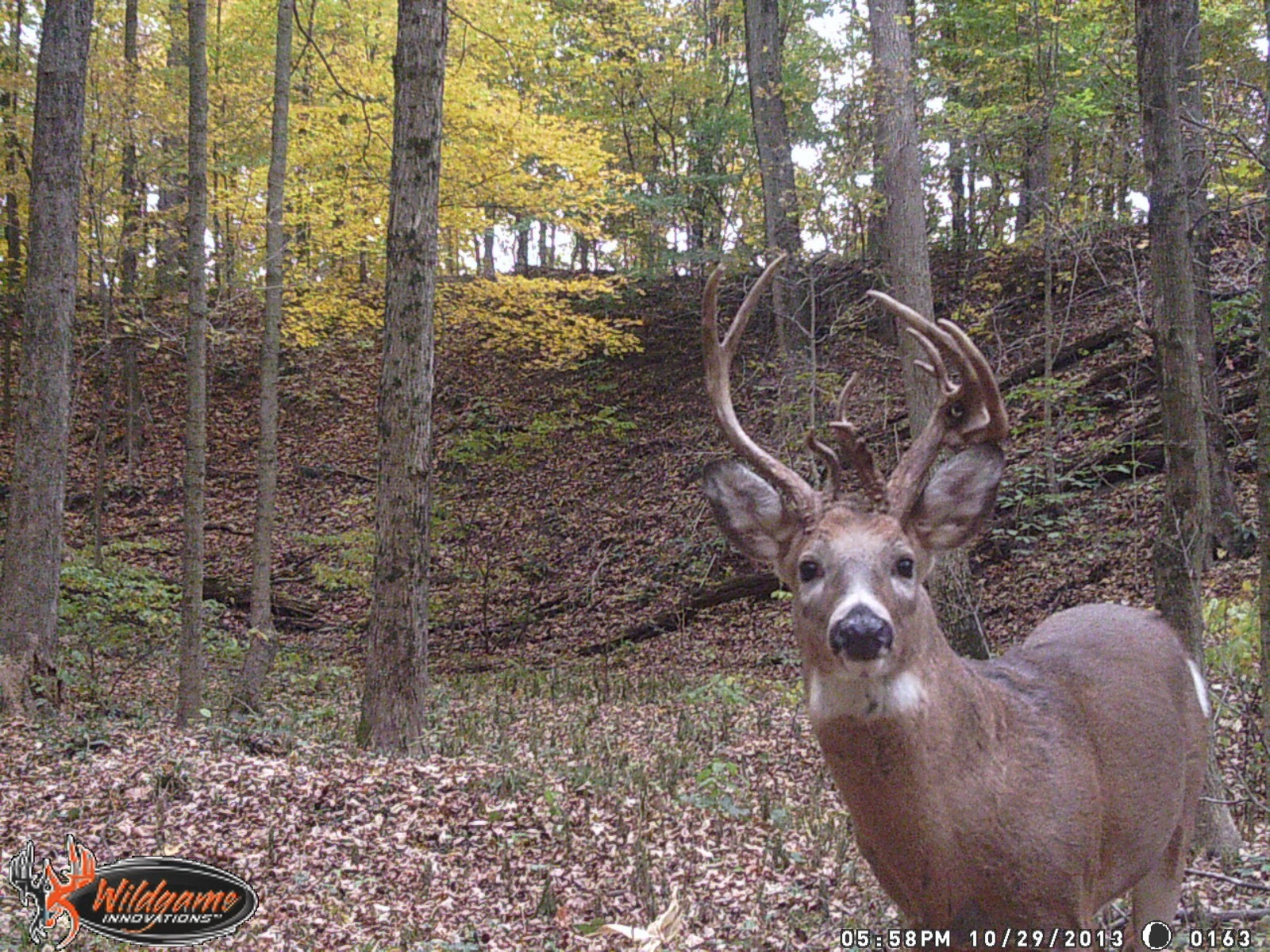 Indiana Base Camp Leasing