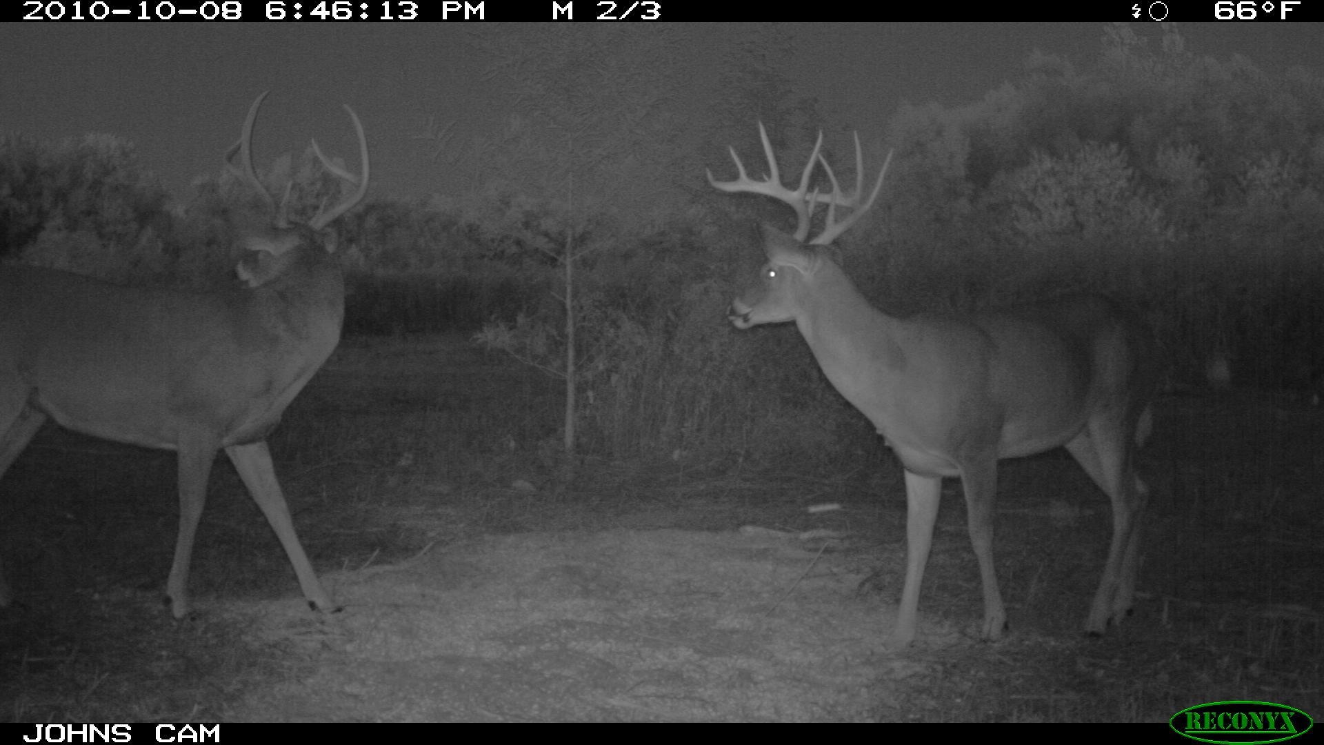 Kentucky Base Camp Leasing