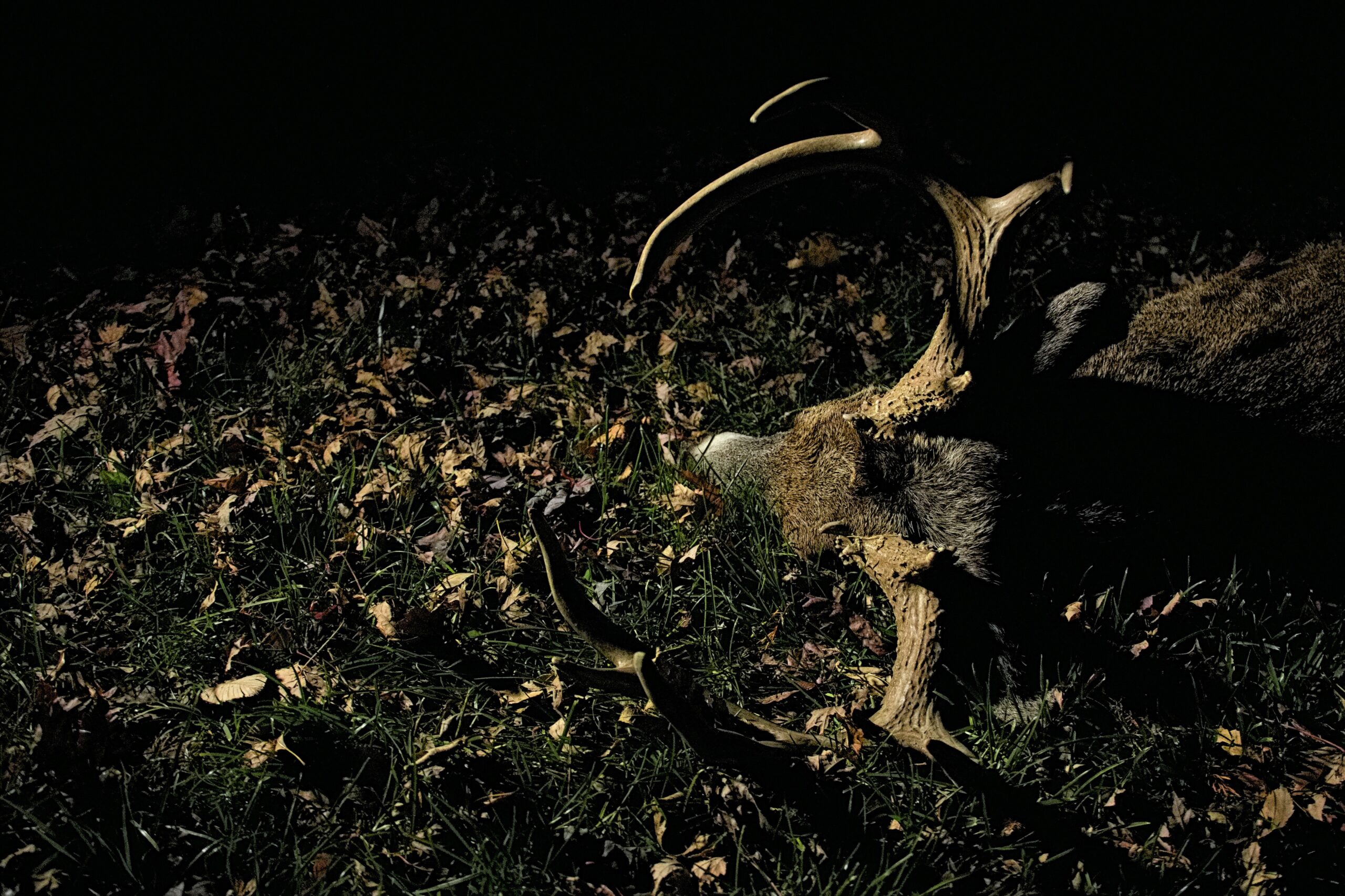 Nebraska Base Camp Leasing