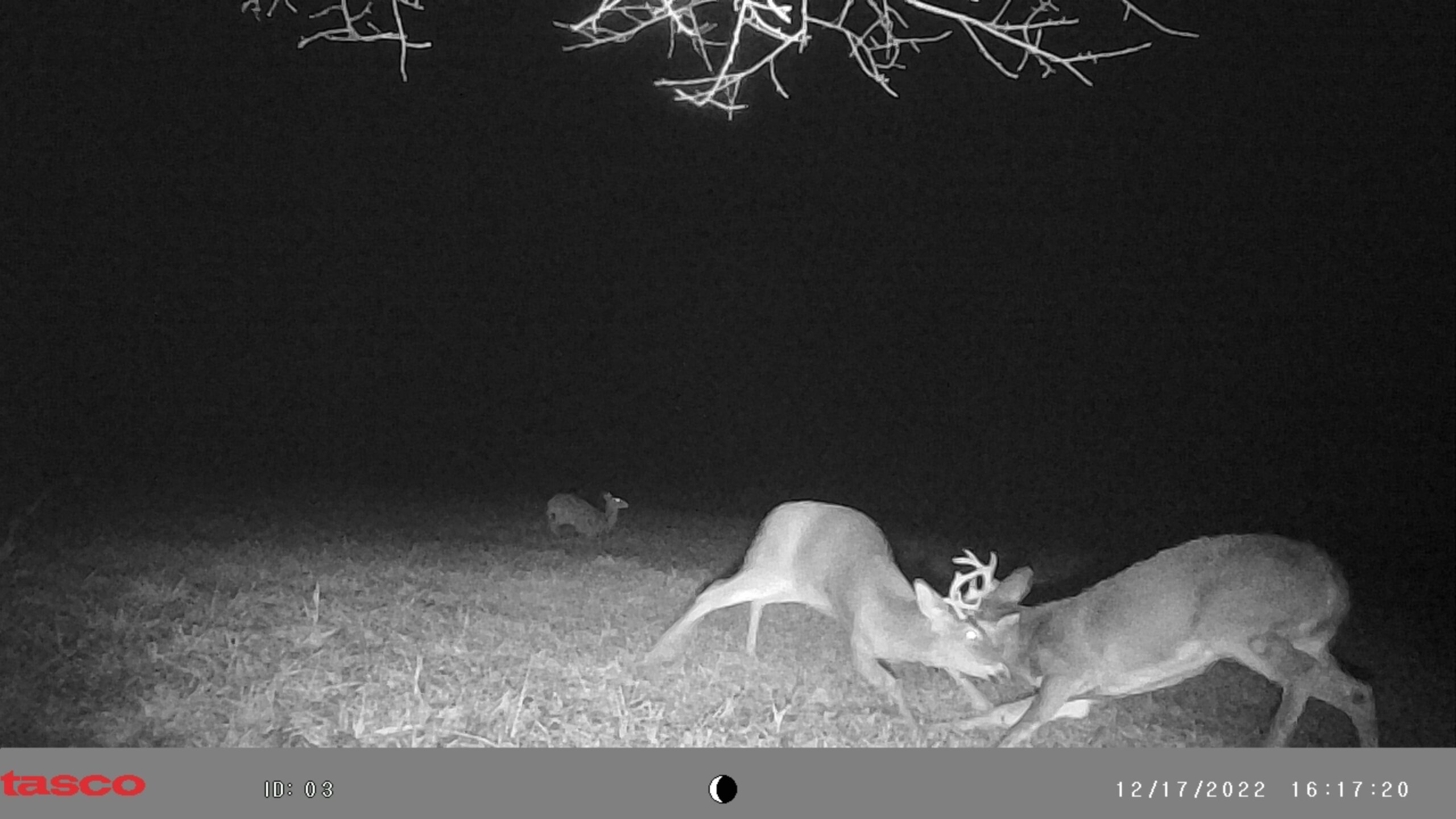 New York Base Camp Leasing