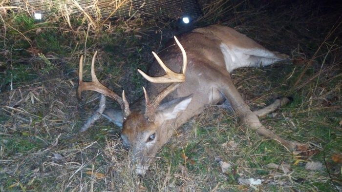 Hunting land for lease craigslist va