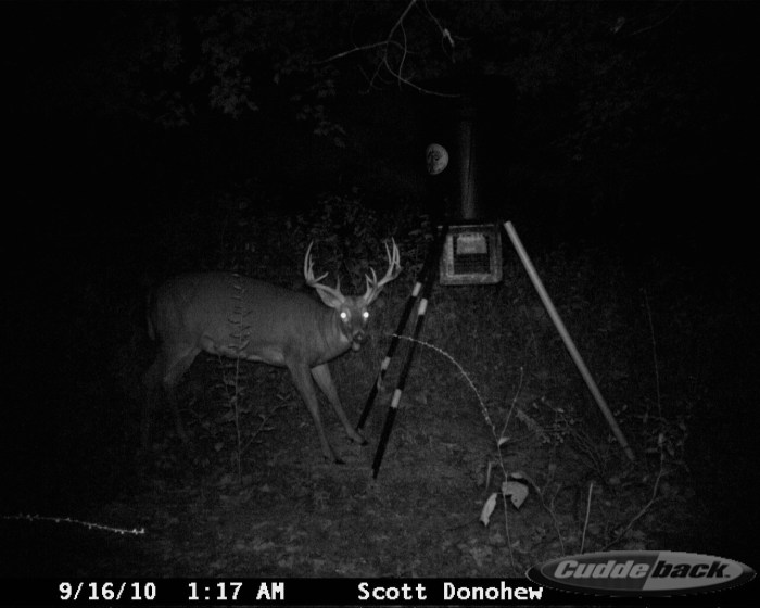 Hunting leases in virginia