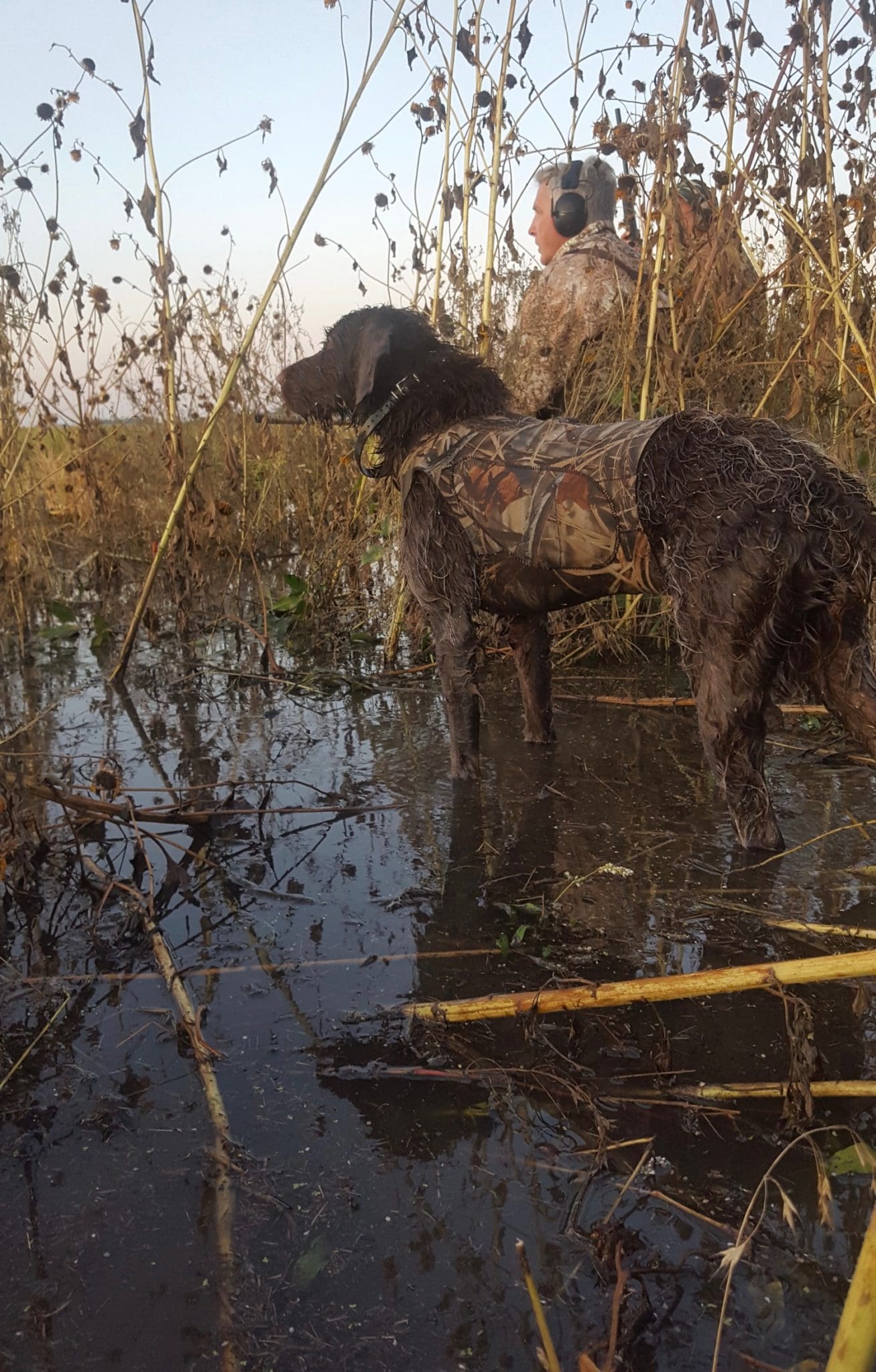 What to Look for in Waterfowl Hunting Property Hunting and Fishing