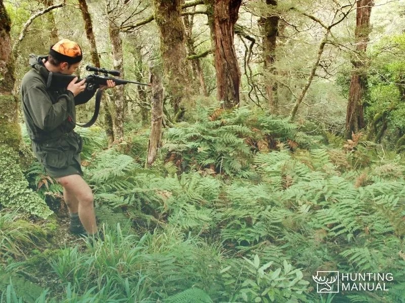 Best Rangefinder with Angle Compensation 2022 Ballistic Calculator & Arc