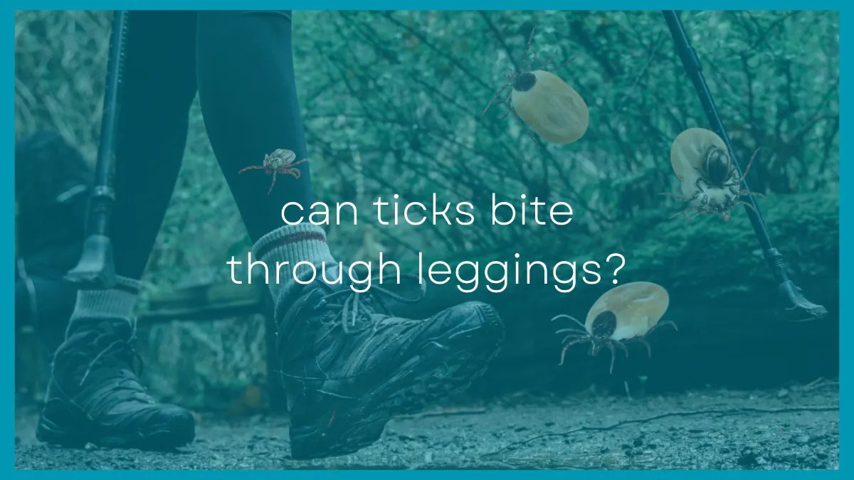 Can Ticks Bite Through Leggings? Are You Safe?