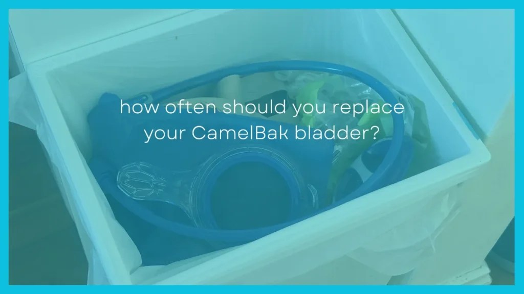 How Often Should You Replace Your CamelBak Bladder?