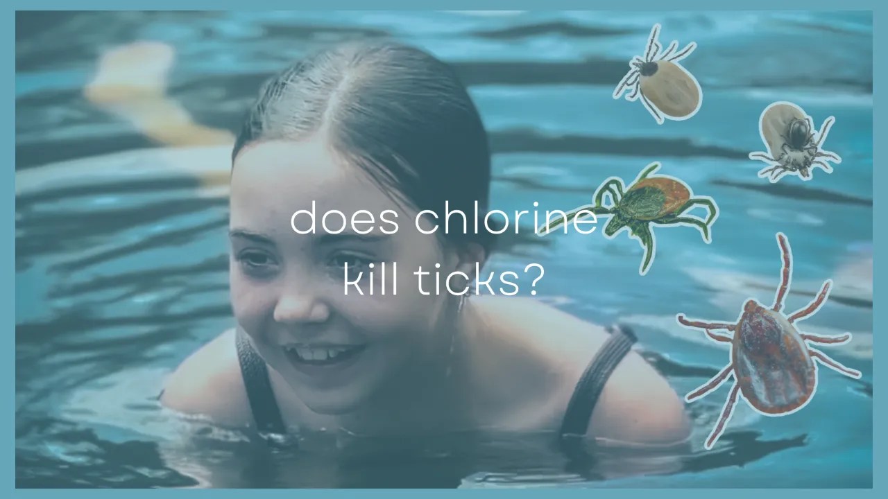 Does Chlorine Kill Ticks? Will a Swimming Pool Remove Ticks?