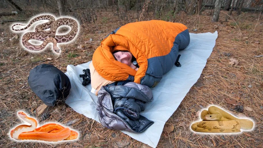 sleepingongroundinsleepingbagwithsnakessurrounding Hunting