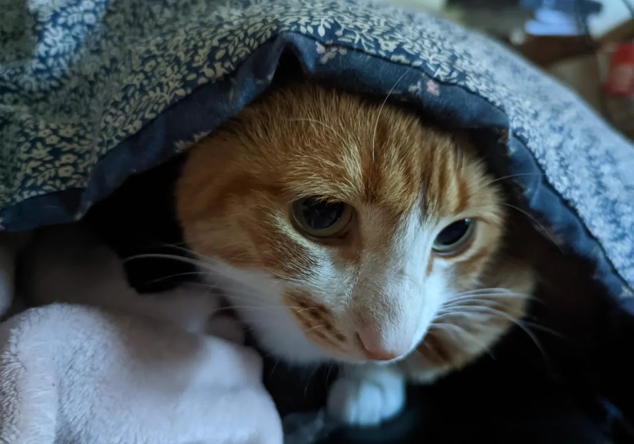 catwrappedupinblanket Hunting Waterfalls