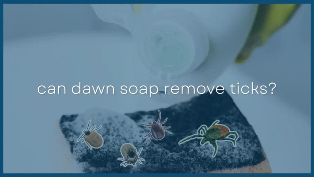 Can a Dawn Soap and Vinegar Mixture Remove Ticks? THE TRUTH