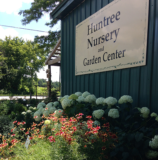 Contact Us Huntree Nursery