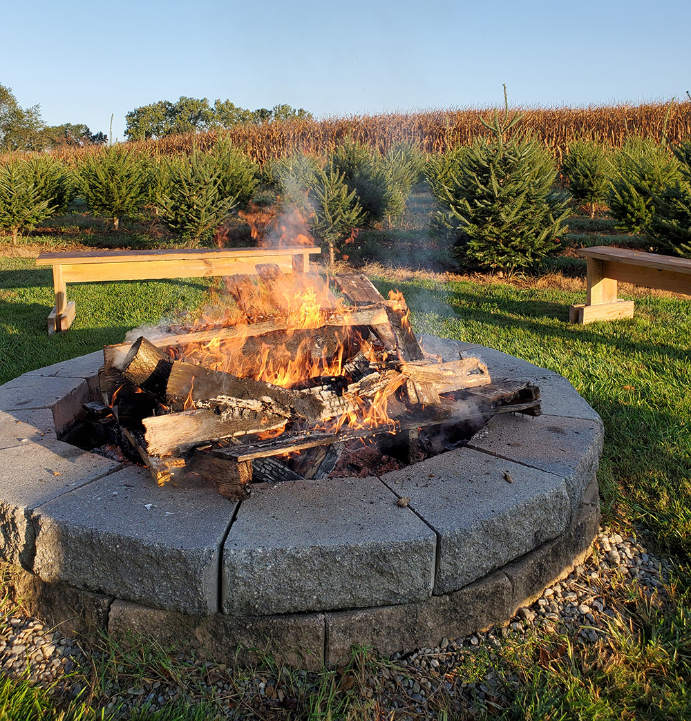 Events Hunt’s Christmas Tree Farm